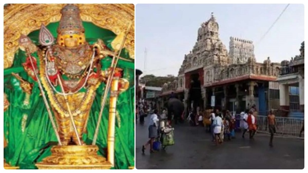 Tiruchendur Masi Festival begins with flag hoisting on 25th February 2023 Tiruchendur Masi Festival begins with flag hoisting on 25th February 2023