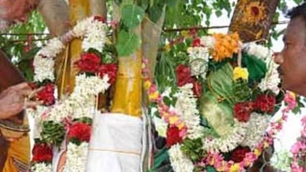 தாலி கட்டப்பட்டது தாலி கட்டப்பட்டது