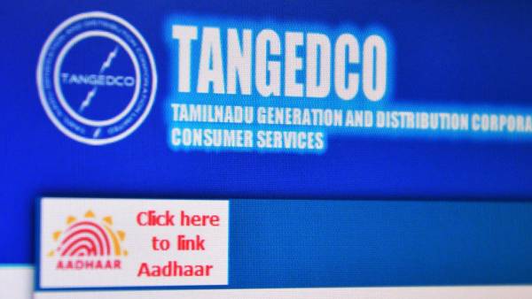 வெப்சைட்கள் 