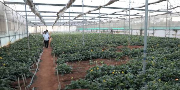  மானாவாரி விவசாயத்தை மலையேற்றி வைத்த திட்டம்: