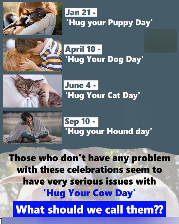 இதில் மட்டும் பிரச்சனையா? இதில் மட்டும் பிரச்சனையா?