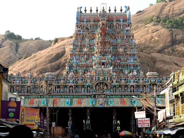  திருக்கல்யாண தேரோட்டம் 