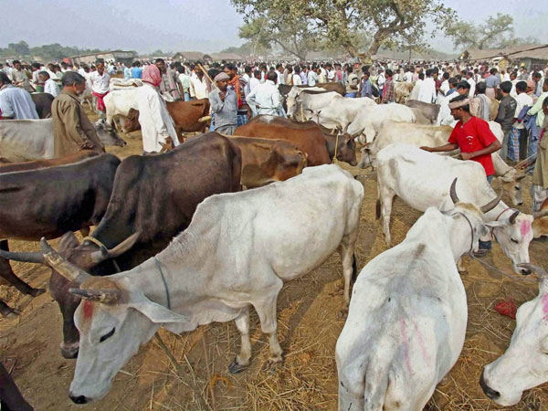 வியாழக்கிழமை வியாழக்கிழமை