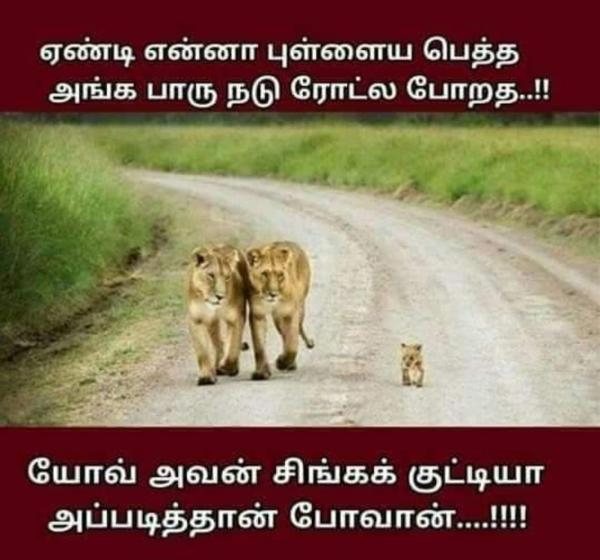 Funny memes collection on peoples mindset