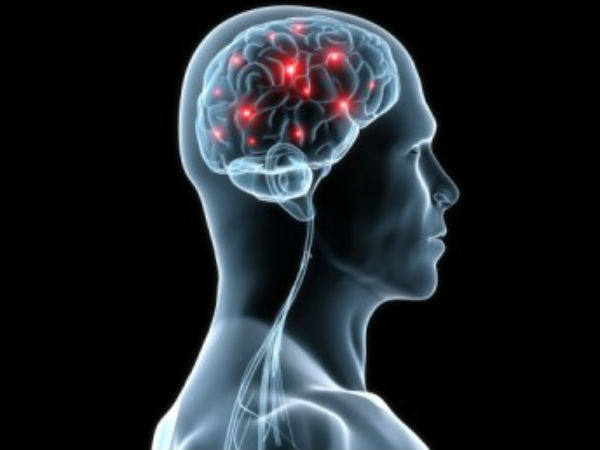 ரத்த நாளங்கள்