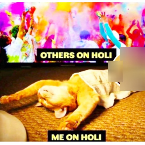 These are some jolly memes collections on Holi celebrations.
