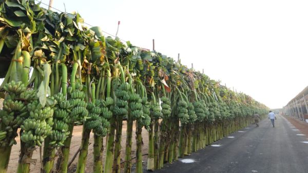 வரவேற்பு பேச்சு 