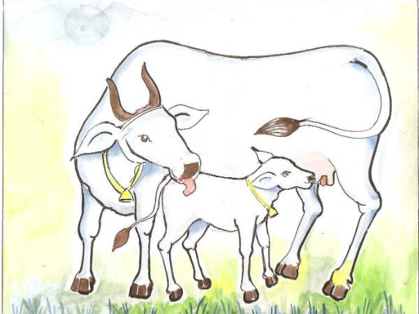 பசுவும் கன்றும்