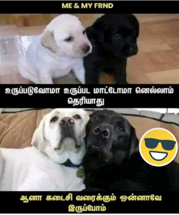 Funny memes collections on friendship