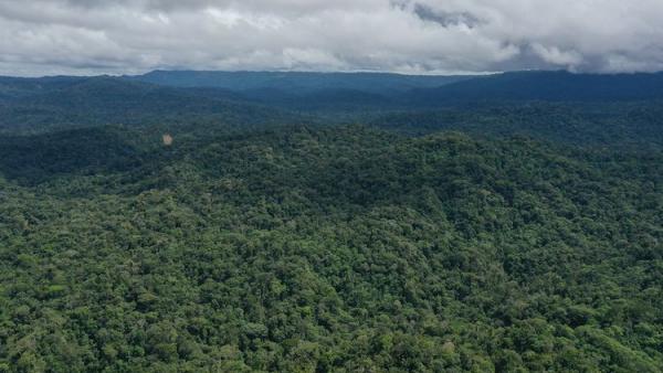 55 மில்லியன் 