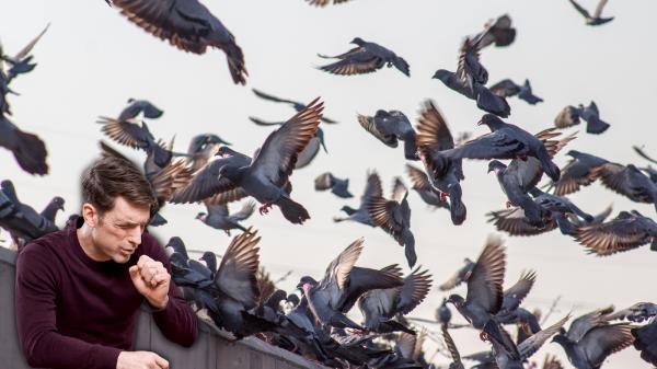 அறிகுறிகள் அறிகுறிகள்