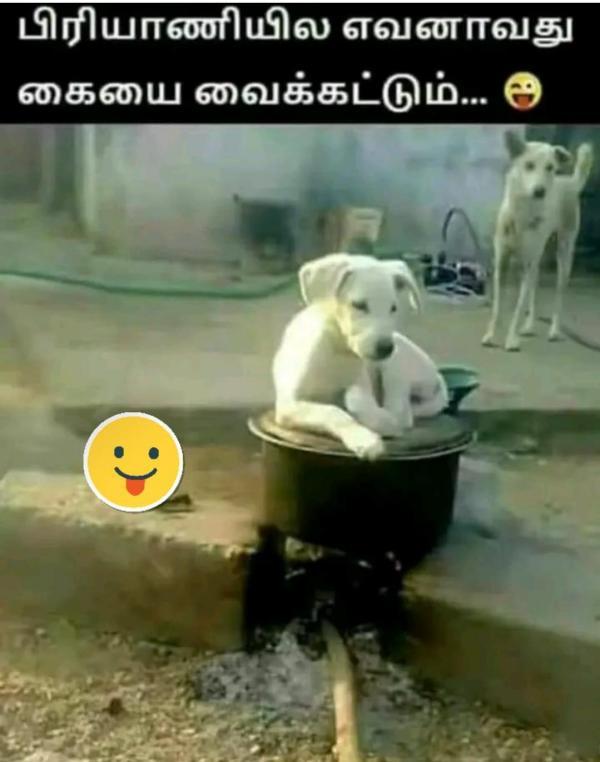 Funny memes collection on sunday routine