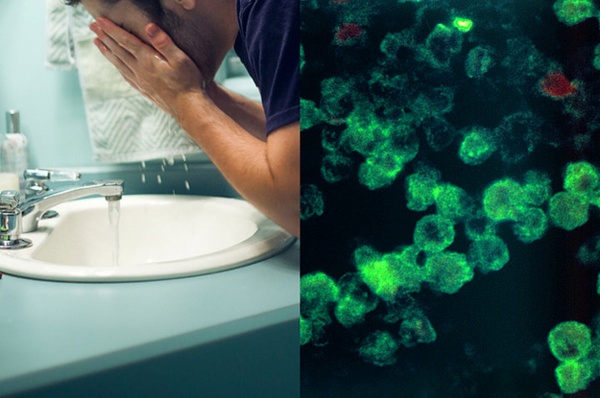 எப்படி மனிதனை தாக்கும்?