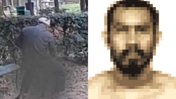 மிருக வதை மிருக வதை