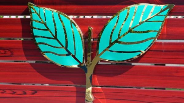 அதிமுக பொதுச் செயலாளர் தேர்தல் 