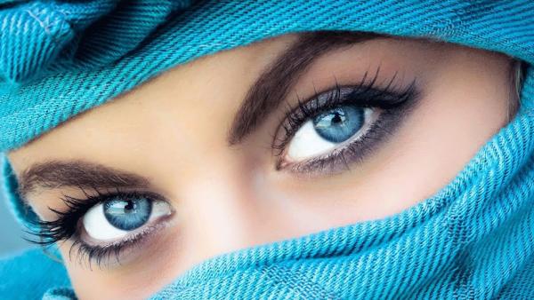 சங்க இலக்கியங்கள் 