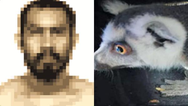 கூடைக்குள்ளே