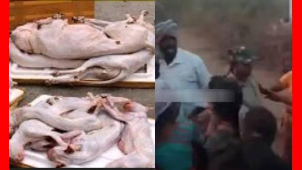 புலிசாதம்