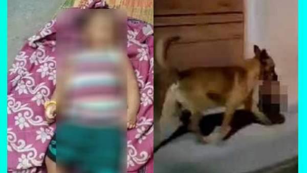  பலமான காயங்கள்