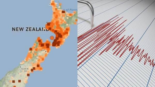 நியூசிலாந்து நியூசிலாந்து