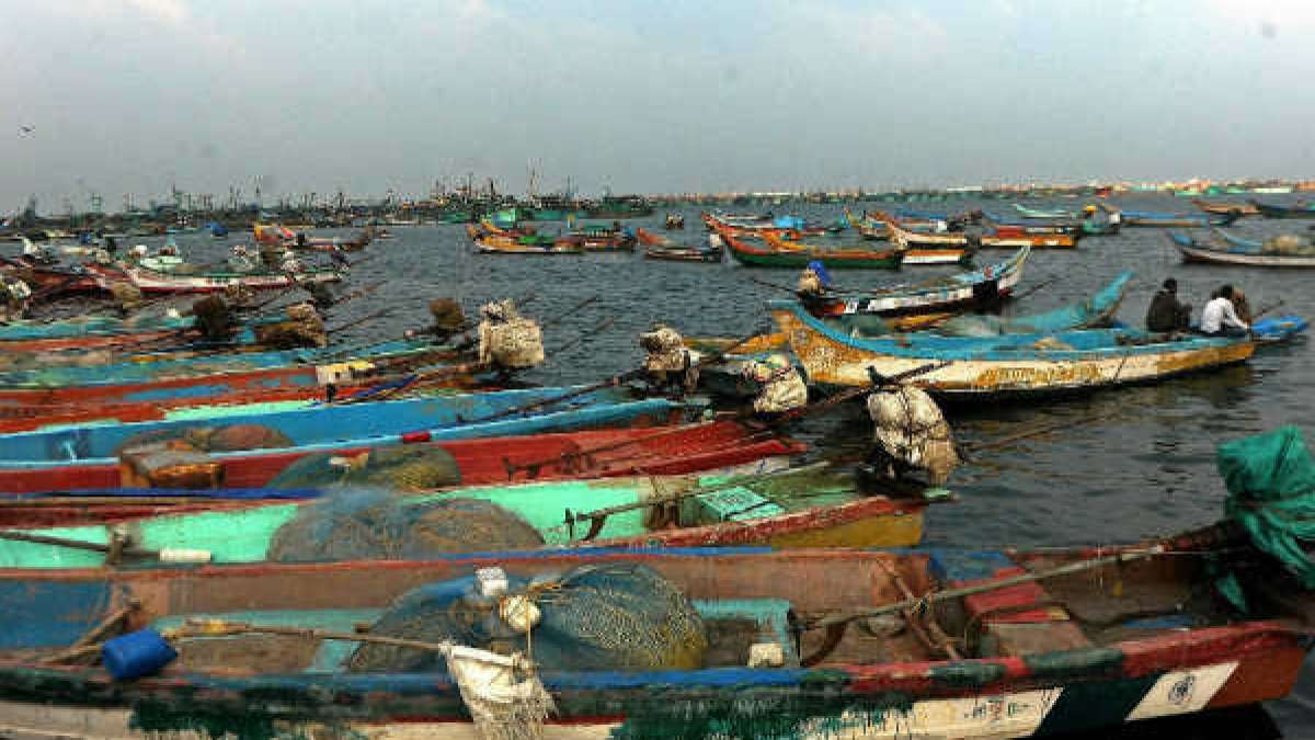  மீனவ சமூகத்தினர் 