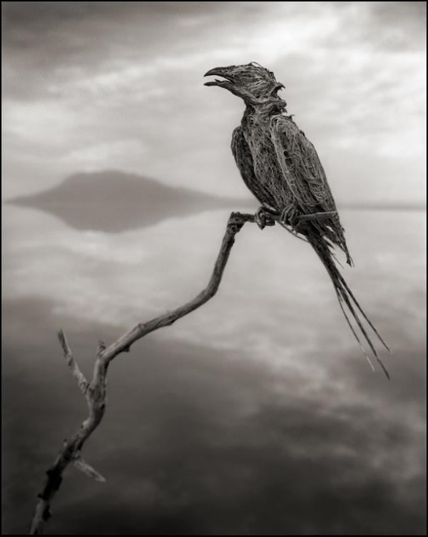  பிங்க் ஏரி