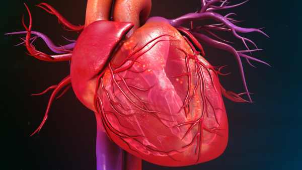 ரத்த அழுத்தம் அதிகமாகும் 