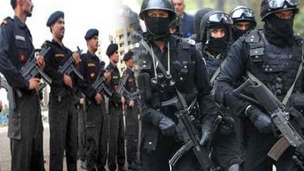 பாதுகாப்பு 