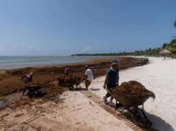 முன்கூட்டியே நடந்துள்ளது 