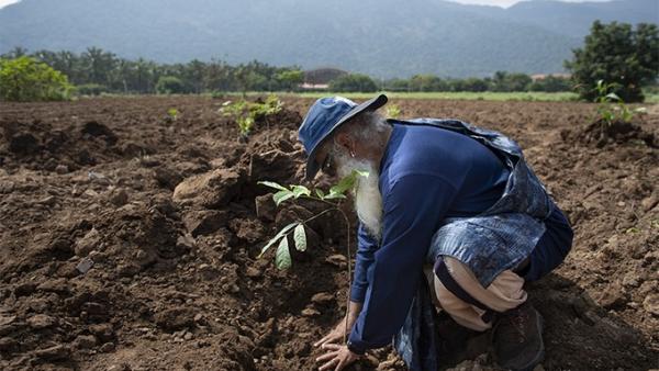 1 crore saplings across Tamilnadu Cauvery Calling movement is a new achievement 1 crore saplings across Tamilnadu Cauvery Calling movement is a new achievement