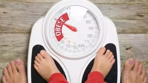 நட்ஸ்கள்