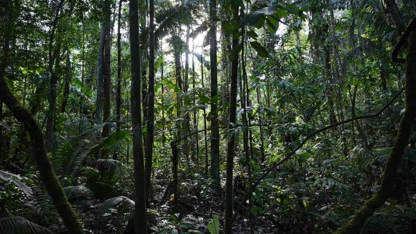 உள்ளூர்வாசிகள் 