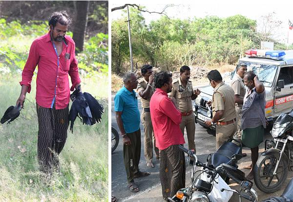  புலிக்கறி + பூனைக்கறி