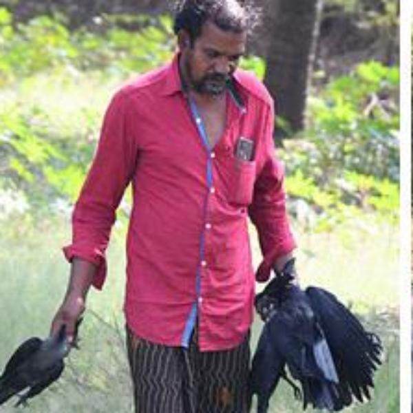  காக்கா பிரியாணி