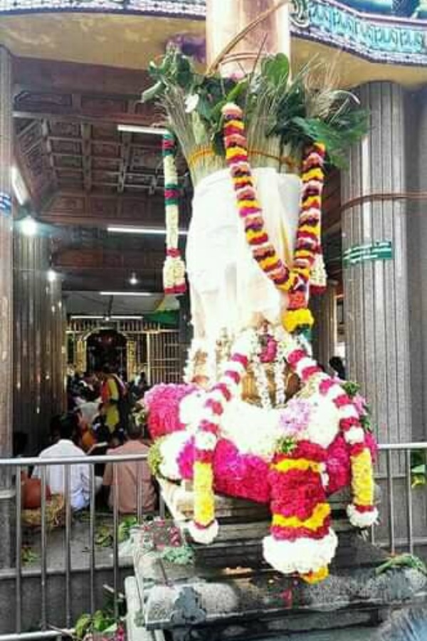 பகவதி அம்மனுக்கு படையல் பகவதி அம்மனுக்கு படையல்