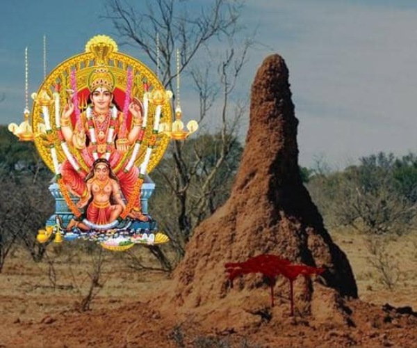 நோய்கள் நீக்கிய சாது நோய்கள் நீக்கிய சாது