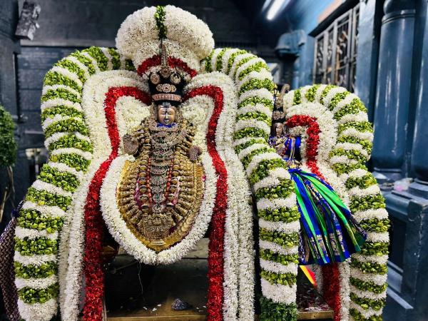 பங்குனி பெருவிழா 