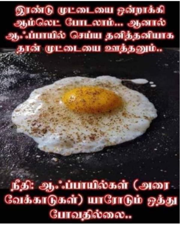 Funny memes collection on sunday special food