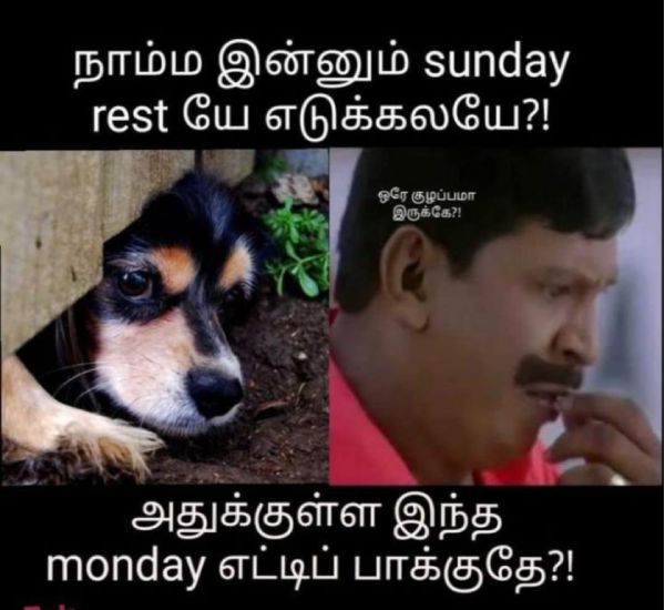 Funny memes collection on sunday special food