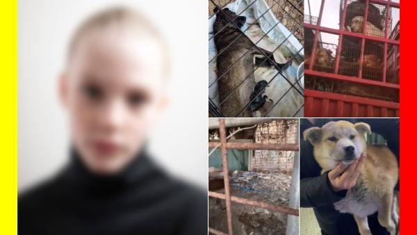 பட்டினி கொலை பட்டினி கொலை