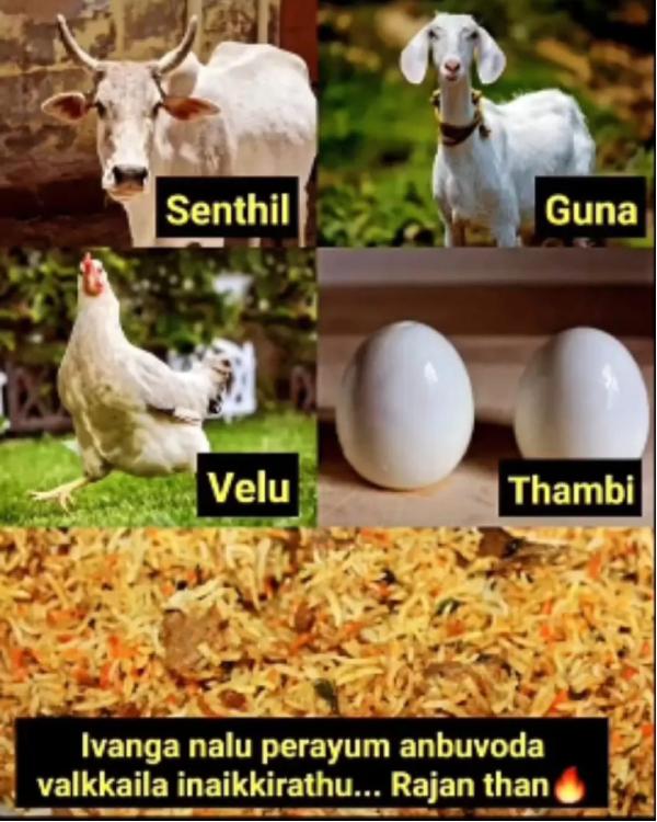 Funny memes collections on sunday special food