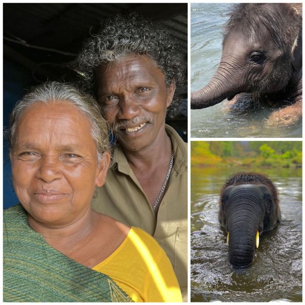  ஆஸ்கர் தம்பதி சொன்ன உண்மைகள்: