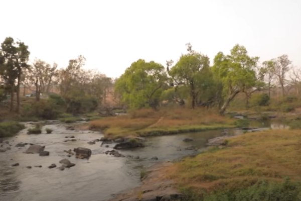  The tribal people living in the Nilgiris have greatly benefited from the makkalai thedi maruthuvam scheme