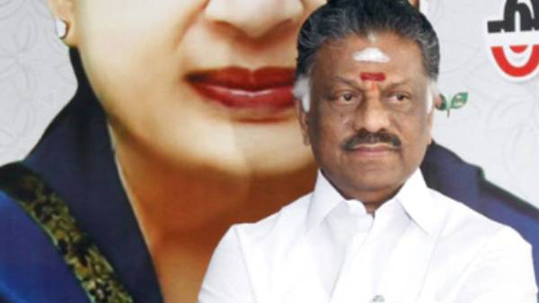 ஓபிஎஸ் மேல்முறையீடு 