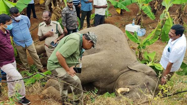 உடற்கூறாய்வில் அதிர்ச்சி 