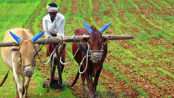 கல்வி நிறுவனங்களில் சிறுதானியங்கள் கல்வி நிறுவனங்களில் சிறுதானியங்கள்