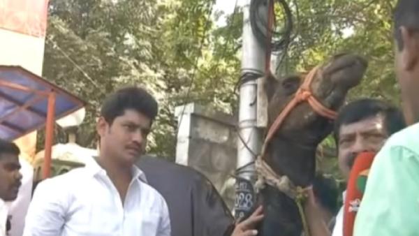 ஒட்டகம் பரிசு 