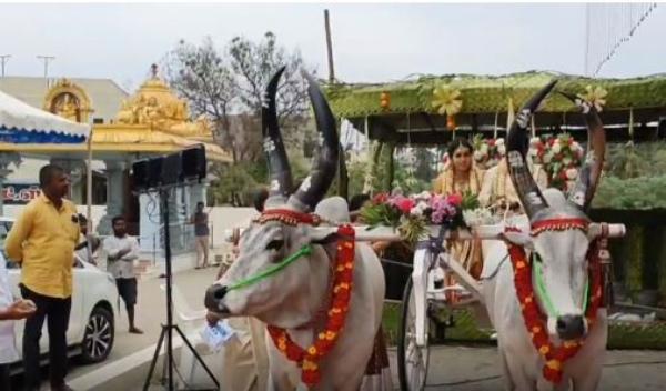 மாட்டு வண்டி மாட்டு வண்டி