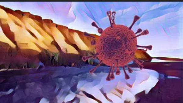 பனிபிரதேசங்களில் வைரஸ்கள் 