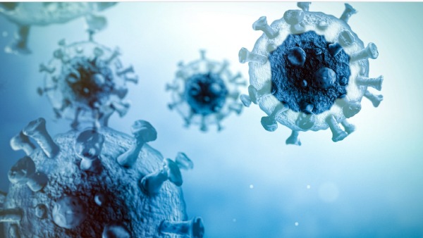 உயிர்பிக்க செய்து ஆய்வு 